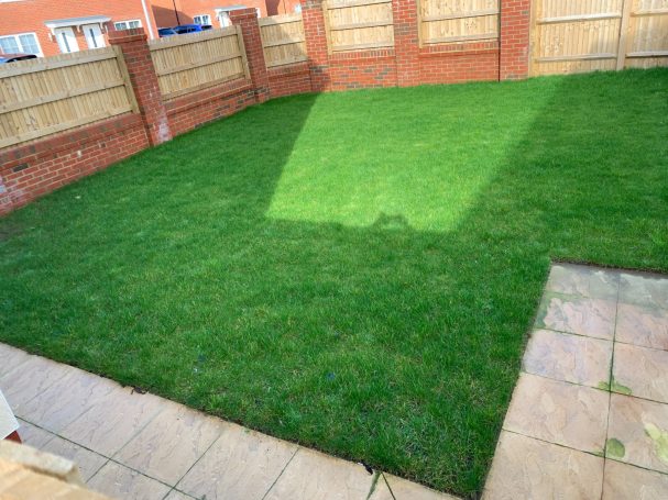Rear garden of a new development in East Sussex